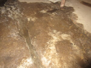 Water stain and efflorescence on an old basement floor found during a moisture and mould home inspection in Kingston Ontario by Equinox Home Inspections