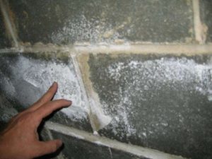 Efflorescence on a basement wall showing moisture-related inspection issues in Kingston and area homes by Equinox Home Inspections