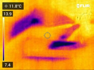 Thermal image showing purple cold areas and heat loss in a ceiling where there is no attic access during a moisture and mould home inspection in Kingston Ontario by Equinox Home Inspections.