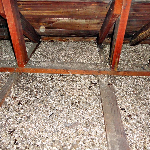 Attic and Insulation Issues in Kingston and Area Homes